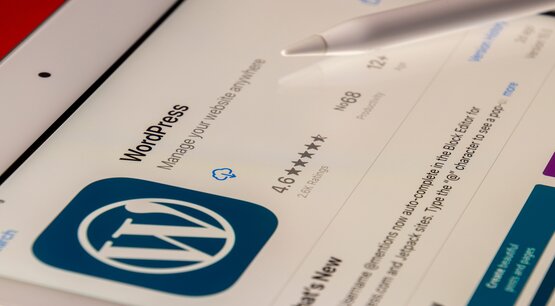 Best WordPress Course in Noida